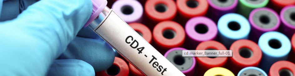 CD Markers for Flow Cytometry